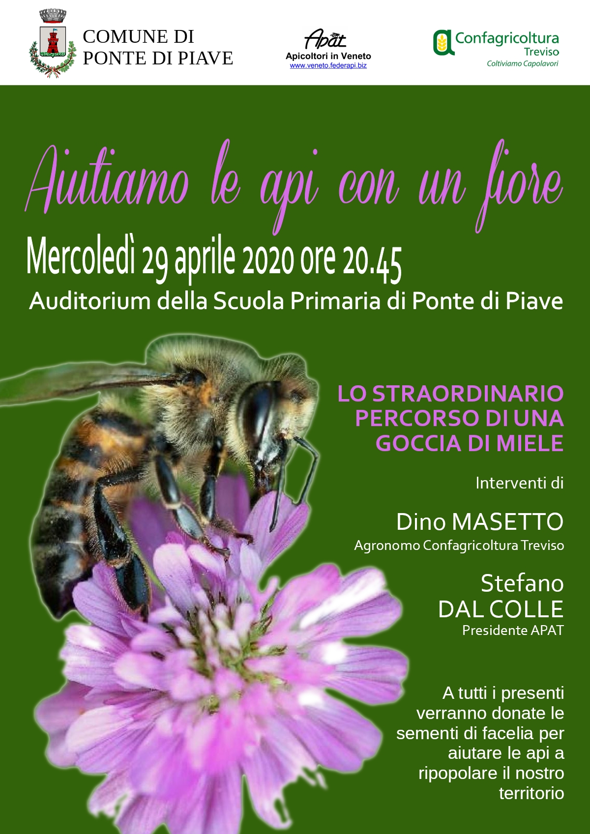 locandina evento api